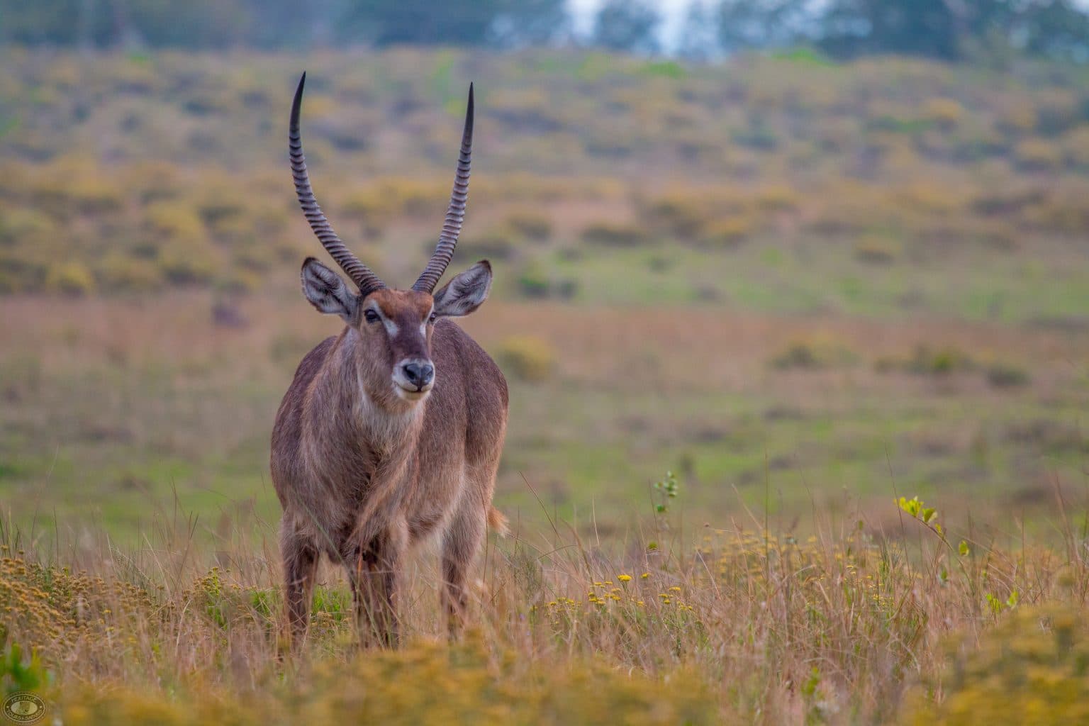 cape vidal south africa