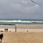 Cape Vidal safari beach time