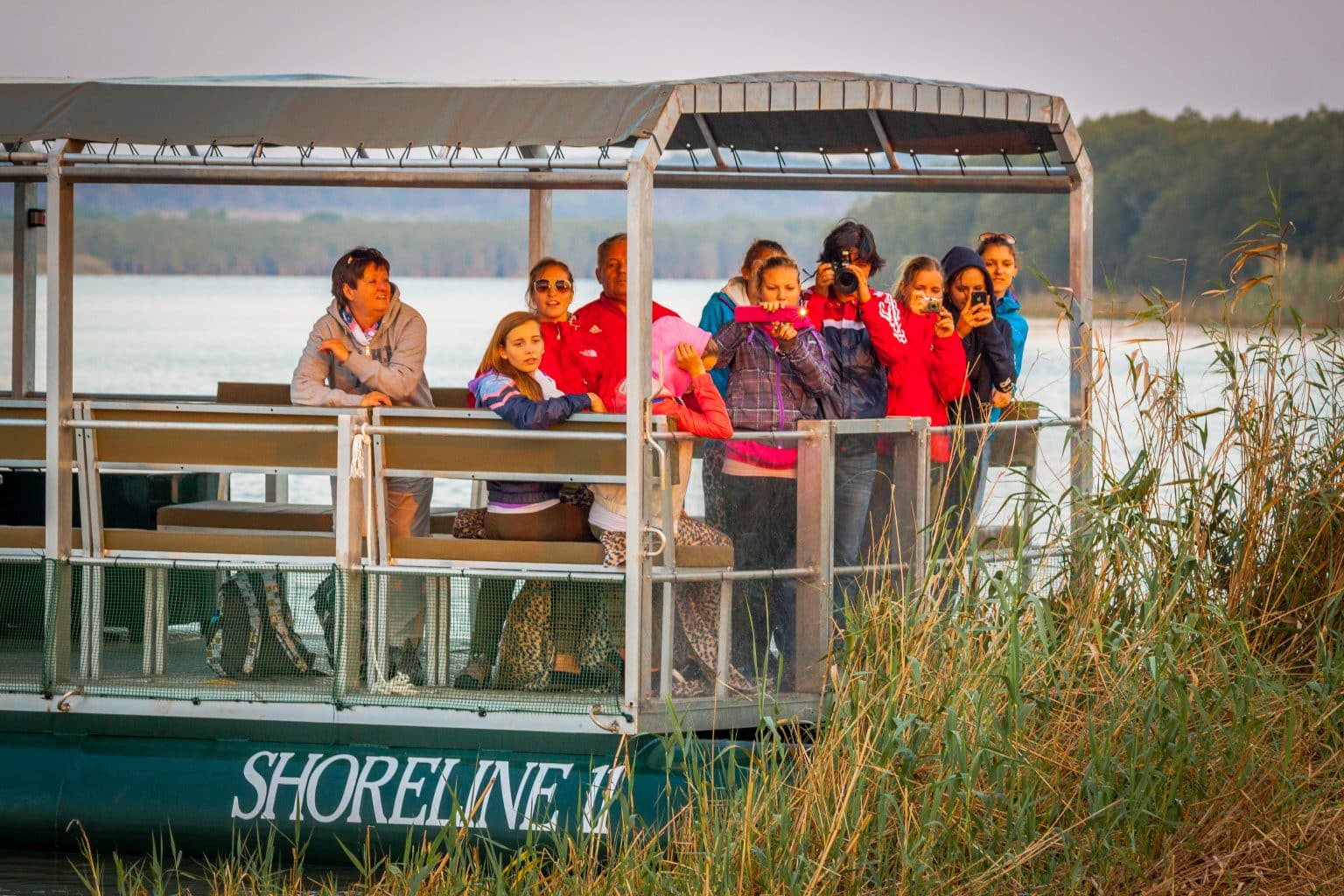 shoreline hippo boat trips st lucia estuary