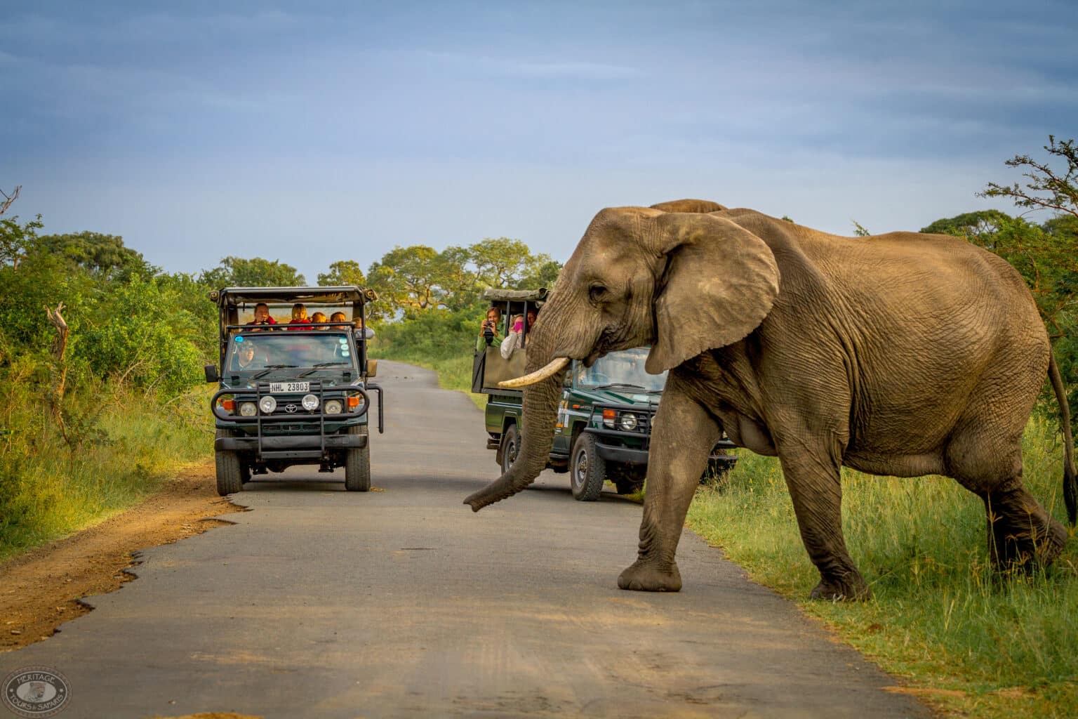3 night safari package