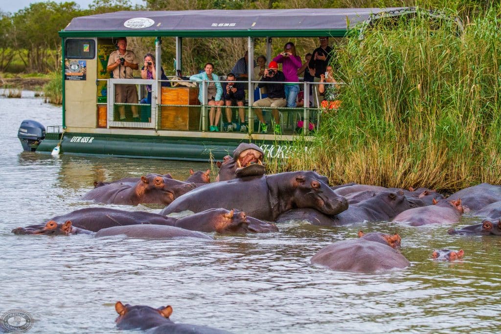 shoreline hippo skippers & guides