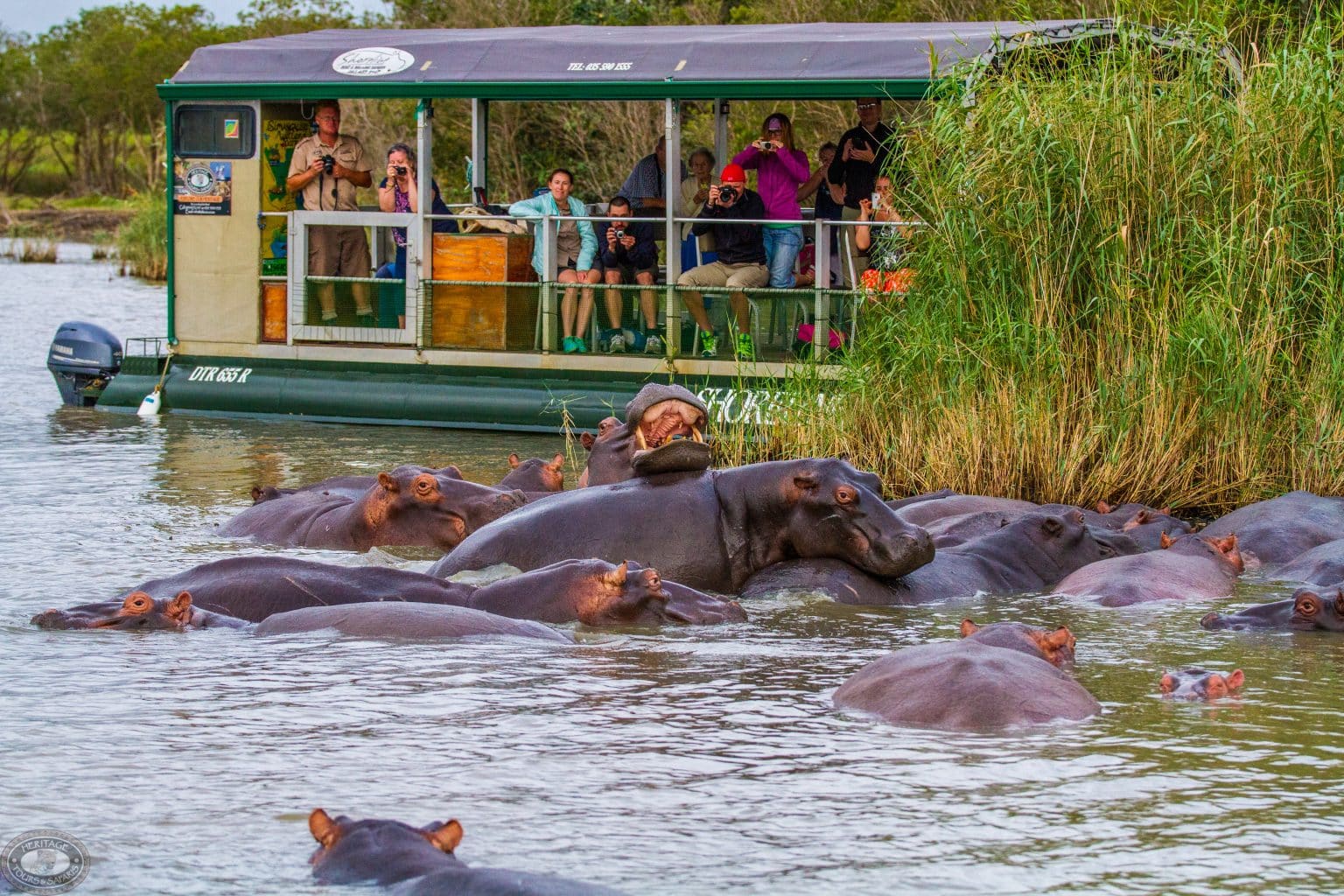 shoreline hippo skippers & guides