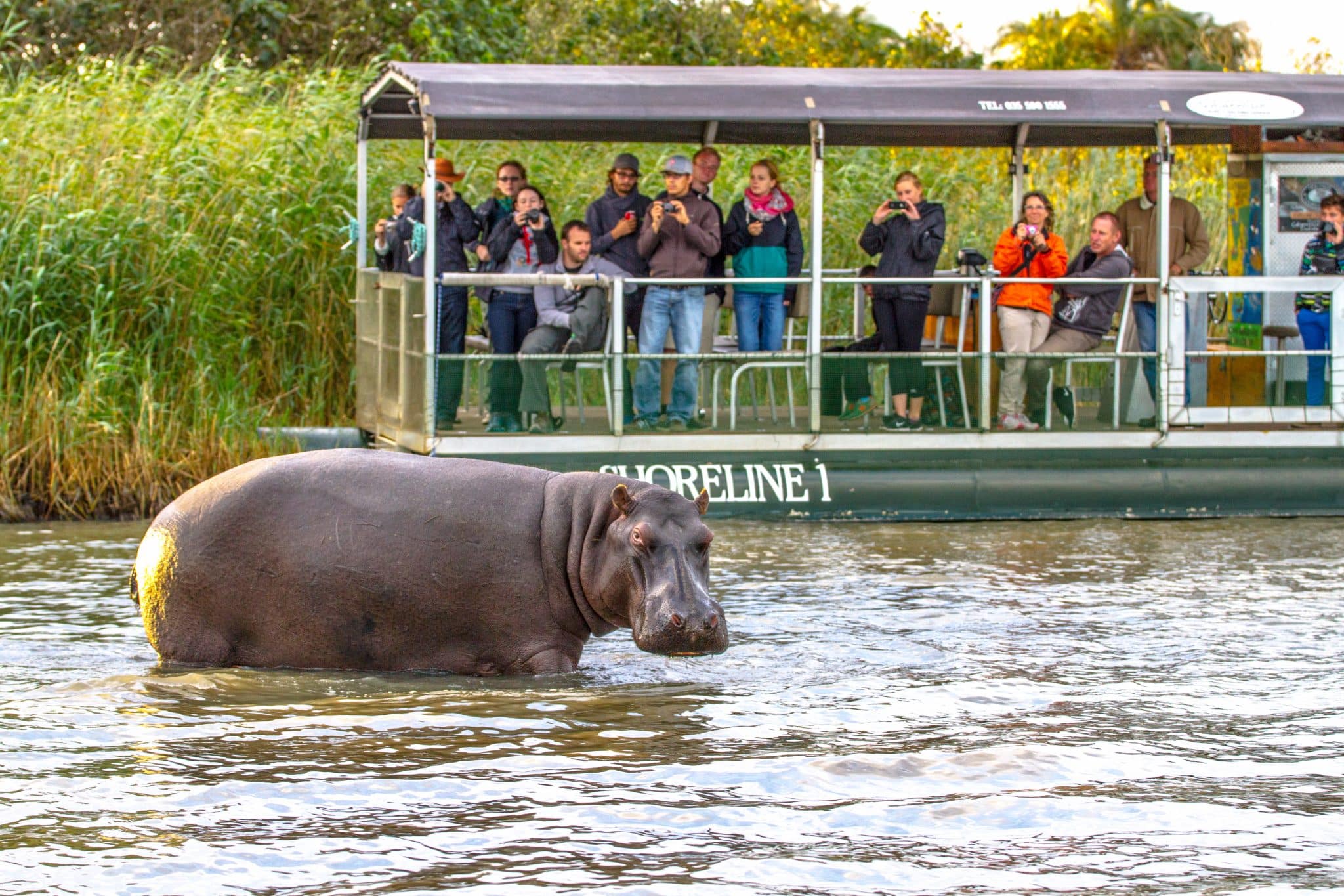 St Lucia Hippo Boat Cruise with Shoreline Boats