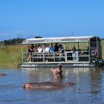 family big 5 safari package