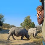 South Africa safari packages st lucia
