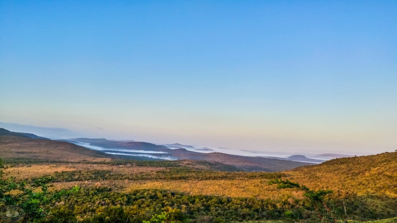 Why Visit Hluhluwe Imfolozi Park Africa’s Oldest Game Reserve