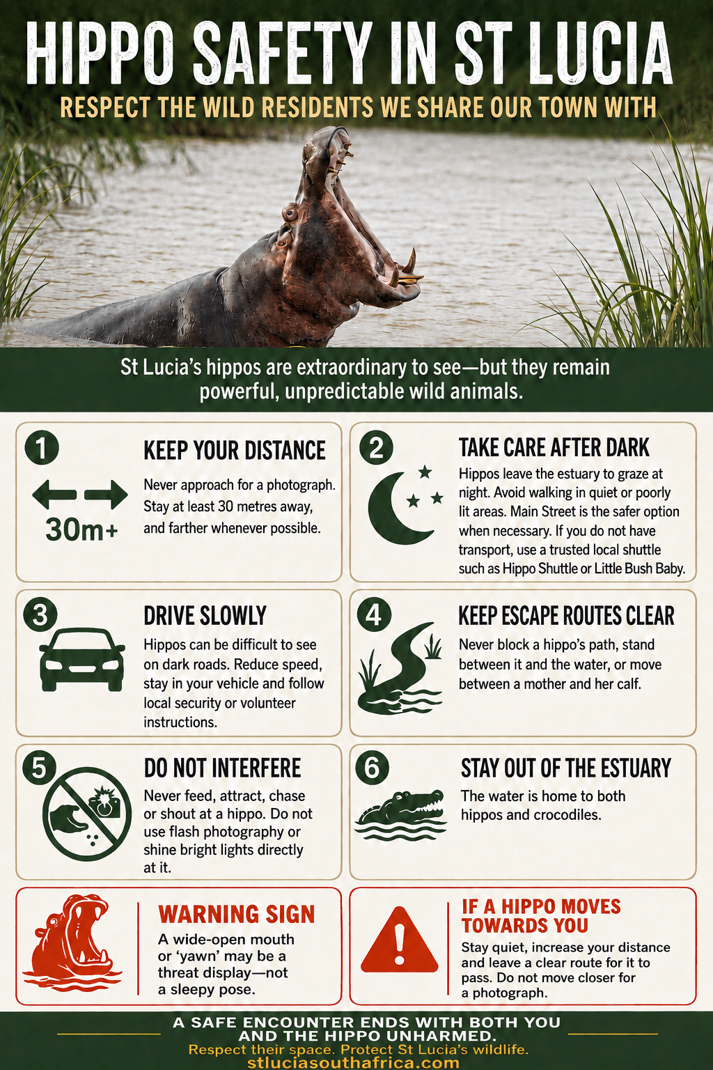 St Lucia Hippo Safety