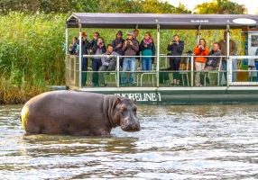 St Lucia Hippo Boat Cruise with Shoreline Boats
